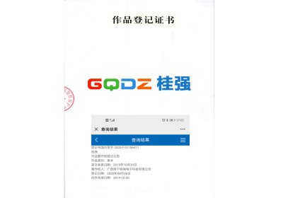 作品登记证书 (作品展示)